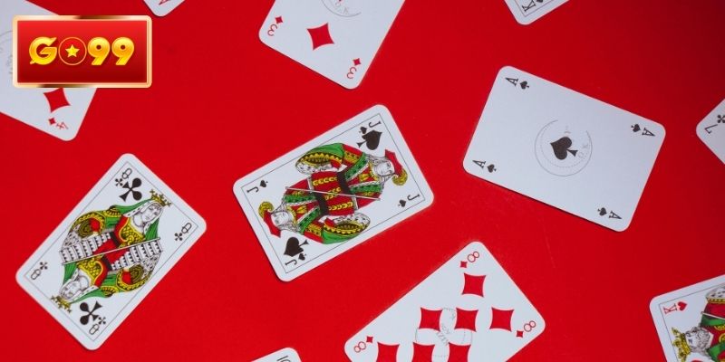 Chuyên gia trả lời mọi thắc mắc của người mới