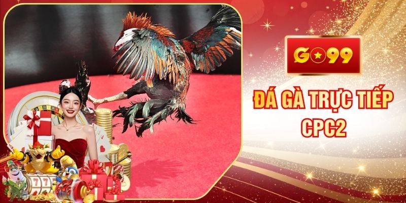 Đá Gà Trực Tiếp CPC2 Xem Những Trận Đấu Nảy Lửa Tại GO99